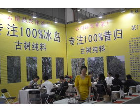 第八屆中國武漢茶業博覽交易會市場營銷策劃方案